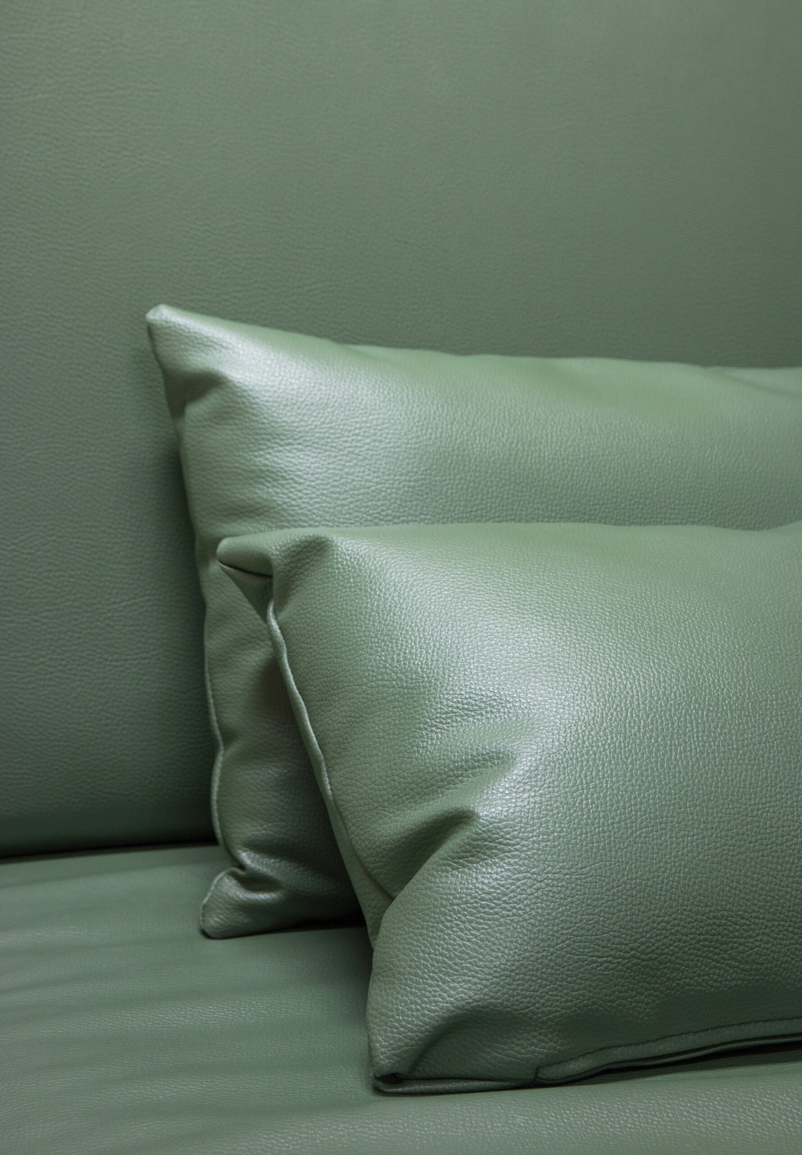 green leather pillow on the sofa